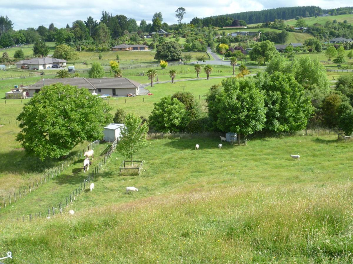 Bellarosa B&B Rotorua Exterior photo